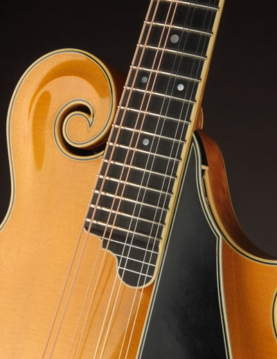 Northfield NFA5V1I Artist Model Blonde (2019)