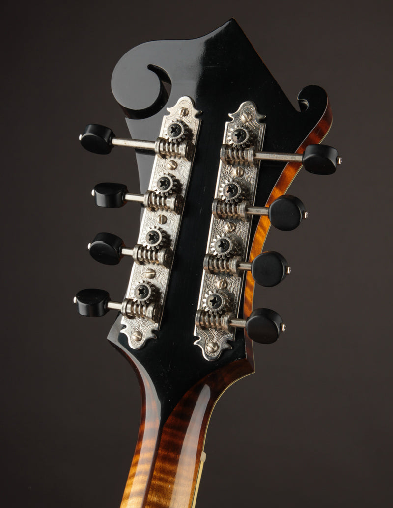 Northfield Big Mon Sunburst (USED, 2020)