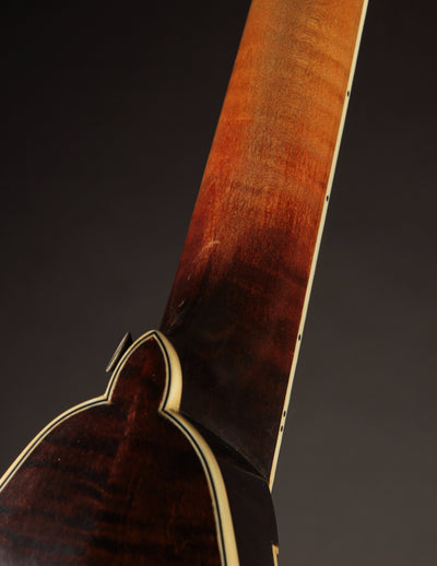 Smart A5 Adirondack Sunburst (2019)