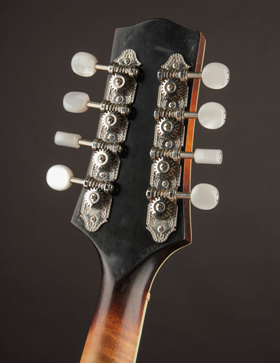 Smart A5 Adirondack Sunburst (2019)