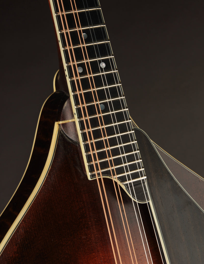 Smart A5 Adirondack Sunburst (2019)