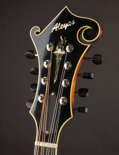 Aleyas LF-5 (USED, 2023)