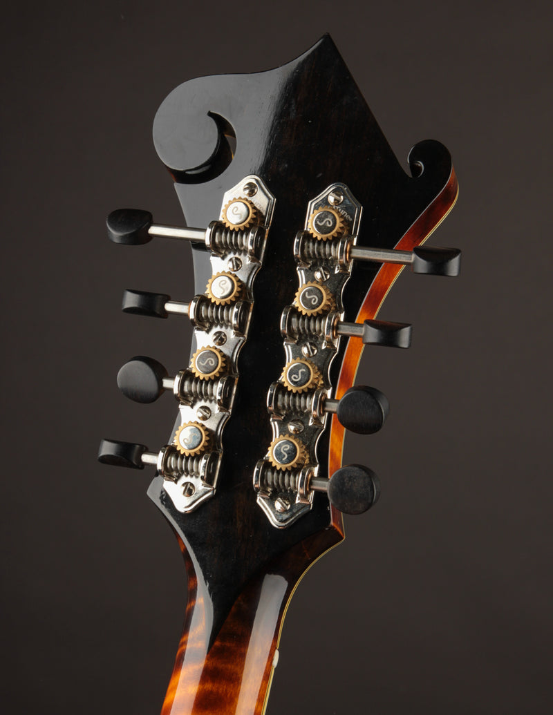 Aleyas LF-5 (USED, 2023)