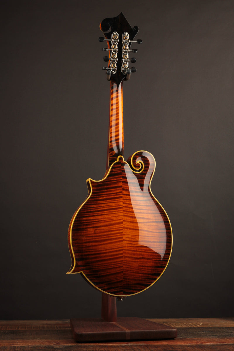Aleyas LF-5 (USED, 2023)