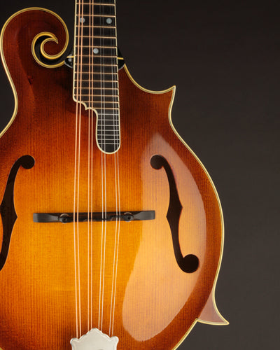 Aleyas LF-5 (USED, 2023)