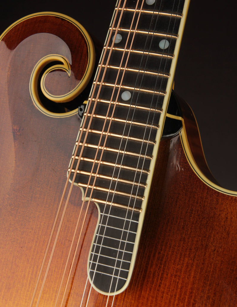 Aleyas LF-5 (USED, 2023)