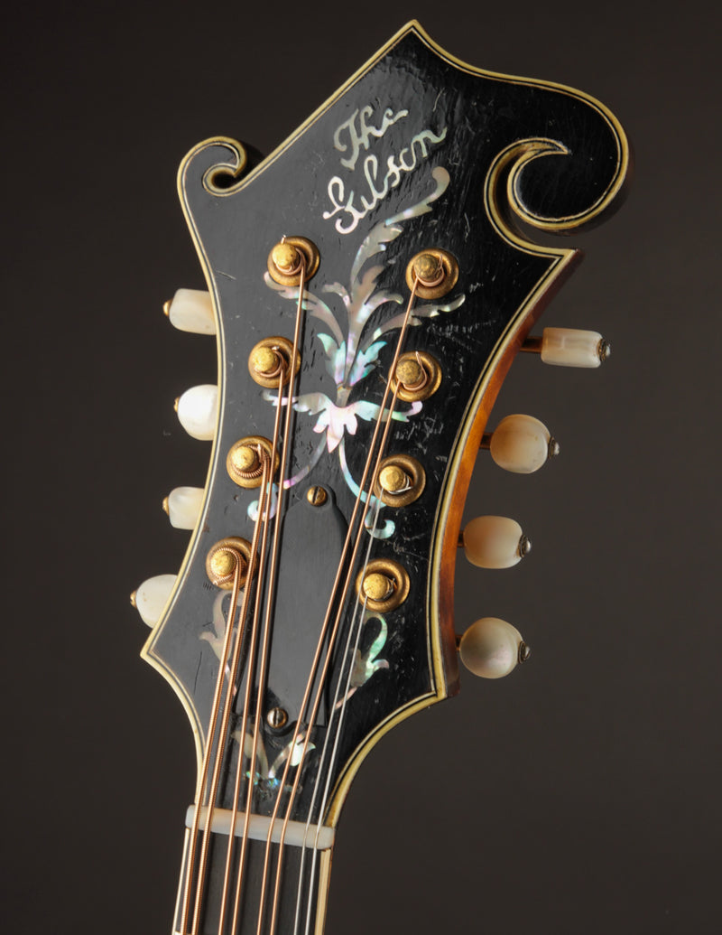 Gibson H5 Mandola Lloyd Loar signed (October 7, 1924)