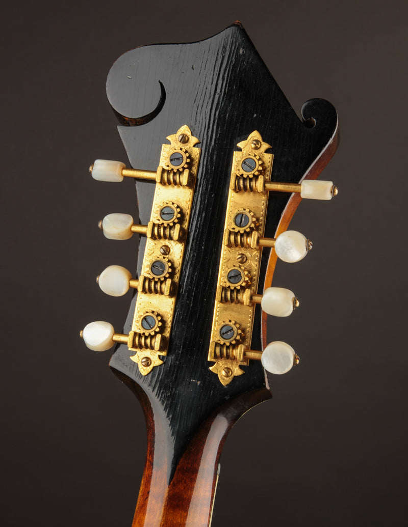 Gibson H5 Mandola Lloyd Loar signed (October 7, 1924)