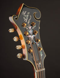 Gibson H5 Mandola Lloyd Loar signed (October 7, 1924)