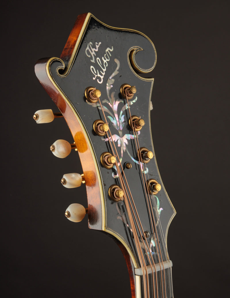 Gibson H5 Mandola Lloyd Loar signed (October 7, 1924)