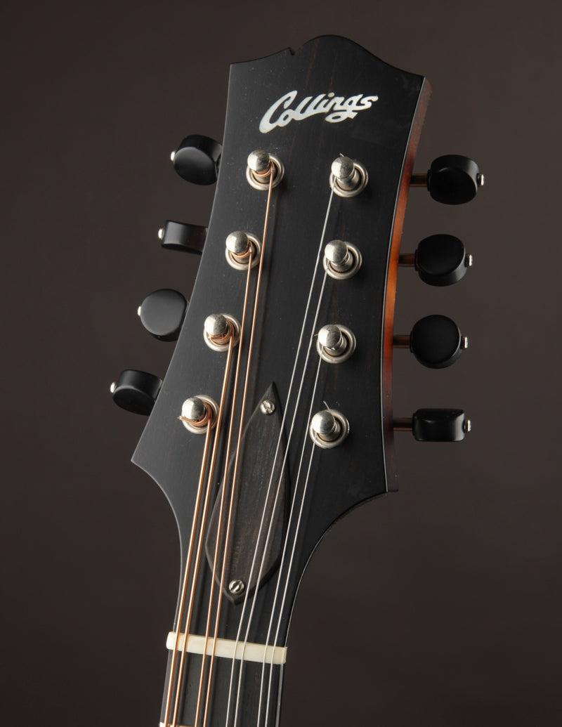 Collings MT Wide Nut (USED, 2018)