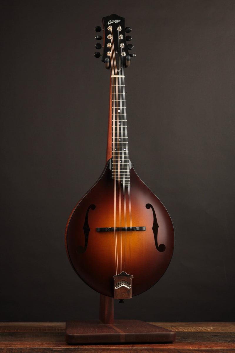 Collings MT Wide Nut (USED, 2018)