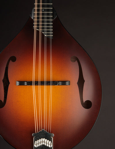 Collings MT Wide Nut (USED, 2018)