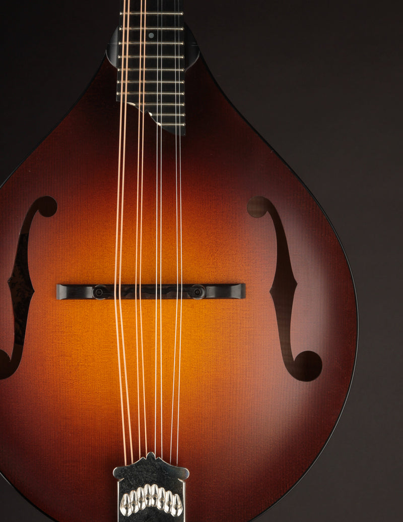 Collings MT Wide Nut (USED, 2018)