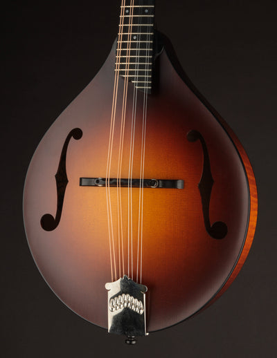 Collings MT Wide Nut (USED, 2018)