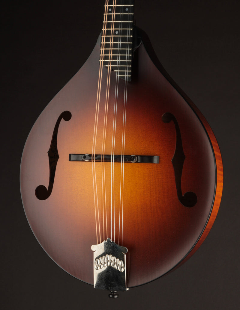 Collings MT Wide Nut (USED, 2018)