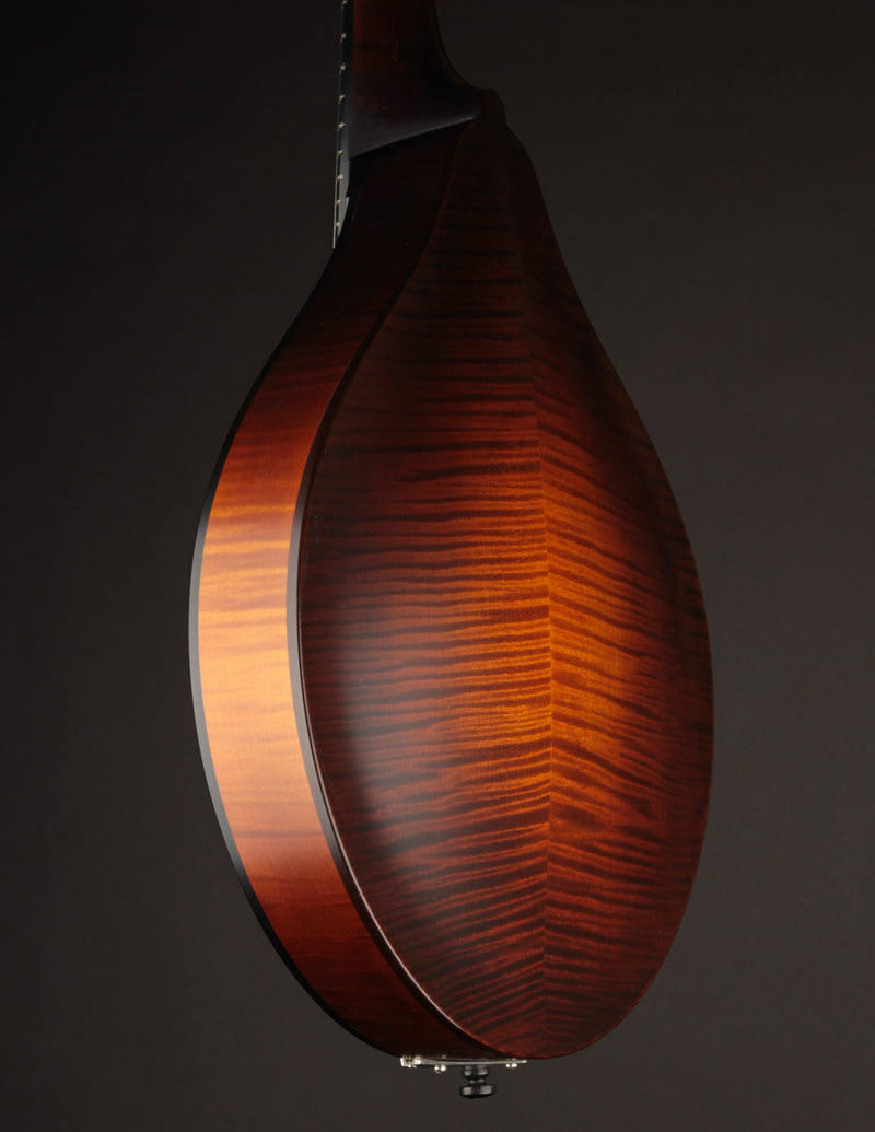 Collings MT Wide Nut (USED, 2018)