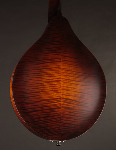 Collings MT Wide Nut (USED, 2018)