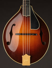 Pava A5 Pro Sunburst "Iris" w/ Calton (USED, 2020)
