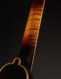 Pava A5 Pro Sunburst "Iris" w/ Calton (USED, 2020)