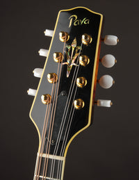 Pava A5 Pro Sunburst "Iris" w/ Calton (USED, 2020)