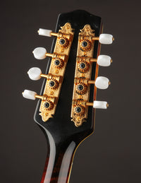 Pava A5 Pro Sunburst "Iris" w/ Calton (USED, 2020)