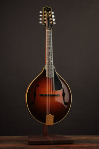 Pava A5 Pro Sunburst "Iris" w/ Calton (USED, 2020)