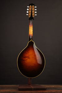 Pava A5 Pro Sunburst "Iris" w/ Calton (USED, 2020)