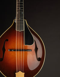 Pava A5 Pro Sunburst "Iris" w/ Calton (USED, 2020)