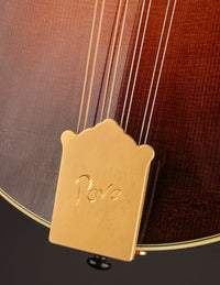 Pava A5 Pro Sunburst "Iris" w/ Calton (USED, 2020)