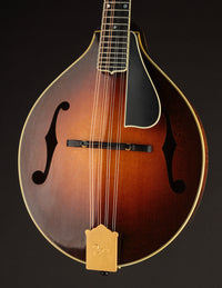 Pava A5 Pro Sunburst "Iris" w/ Calton (USED, 2020)