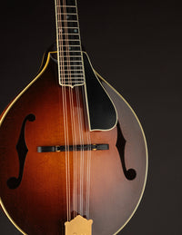 Pava A5 Pro Sunburst "Iris" w/ Calton (USED, 2020)