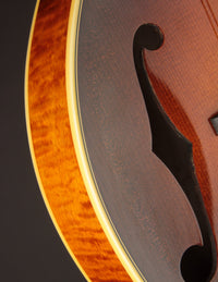 Pava A5 Pro Sunburst "Iris" w/ Calton (USED, 2020)