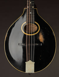 Gibson A1 Snakehead (1924)