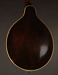 Gibson A1 Snakehead (1924)