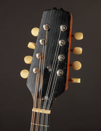 Gibson A1 Snakehead (1924)