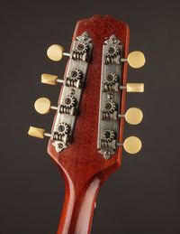 Gibson A1 Snakehead (1924)