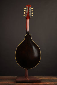 Gibson A1 Snakehead (1924)