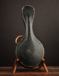 Gibson A1 Snakehead (1924)