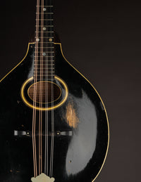 Gibson A1 Snakehead (1924)