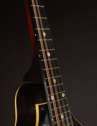 Gibson A1 Snakehead (1924)
