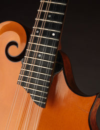 Collings MF5 Varnish Honey Amber Birdseye Maple (2014)