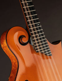 Collings MF5 Varnish Honey Amber Birdseye Maple (2014)