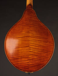 Campanella A5 (2022)