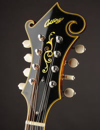 Collings MF5V Varnish Sunburst (USED, 2013)