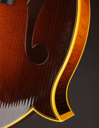 Collings MF5V Varnish Sunburst (USED, 2013)