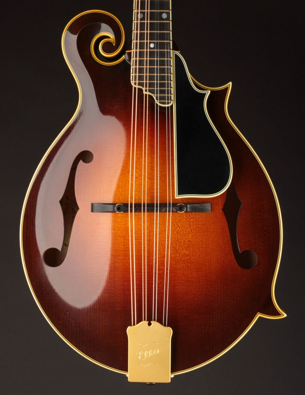Ellis F5 Special w/ Calton (USED, 2023)