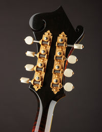Ellis F5 Special w/ Calton (USED, 2023)