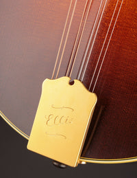 Ellis F5 Special w/ Calton (USED, 2023)