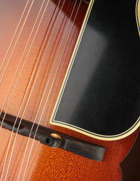 Ellis F5 Special w/ Calton (USED, 2023)